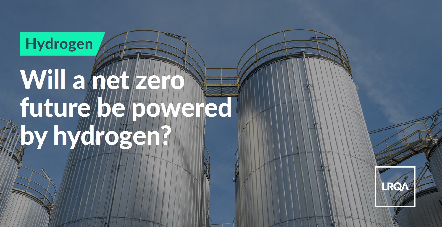 Will a net zero future be powered by hydrogen?