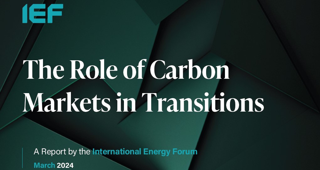 The Role of Carbon Markets in Transitions